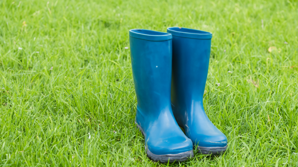 Festival Survival Guide: Essential Tips