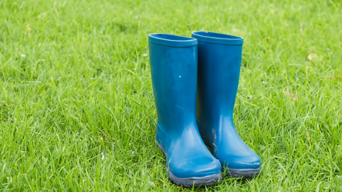 Festival Survival Guide: Essential Tips