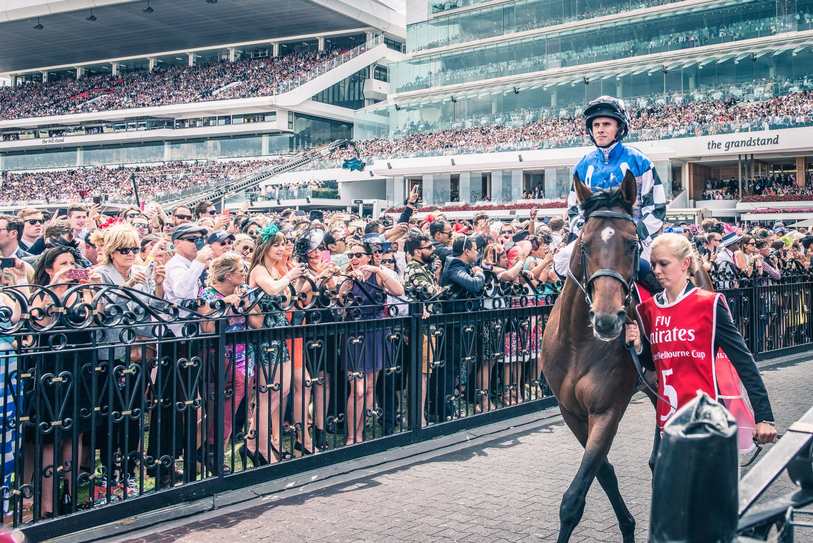 Melbourne Cup: The Race That Stops a Nation