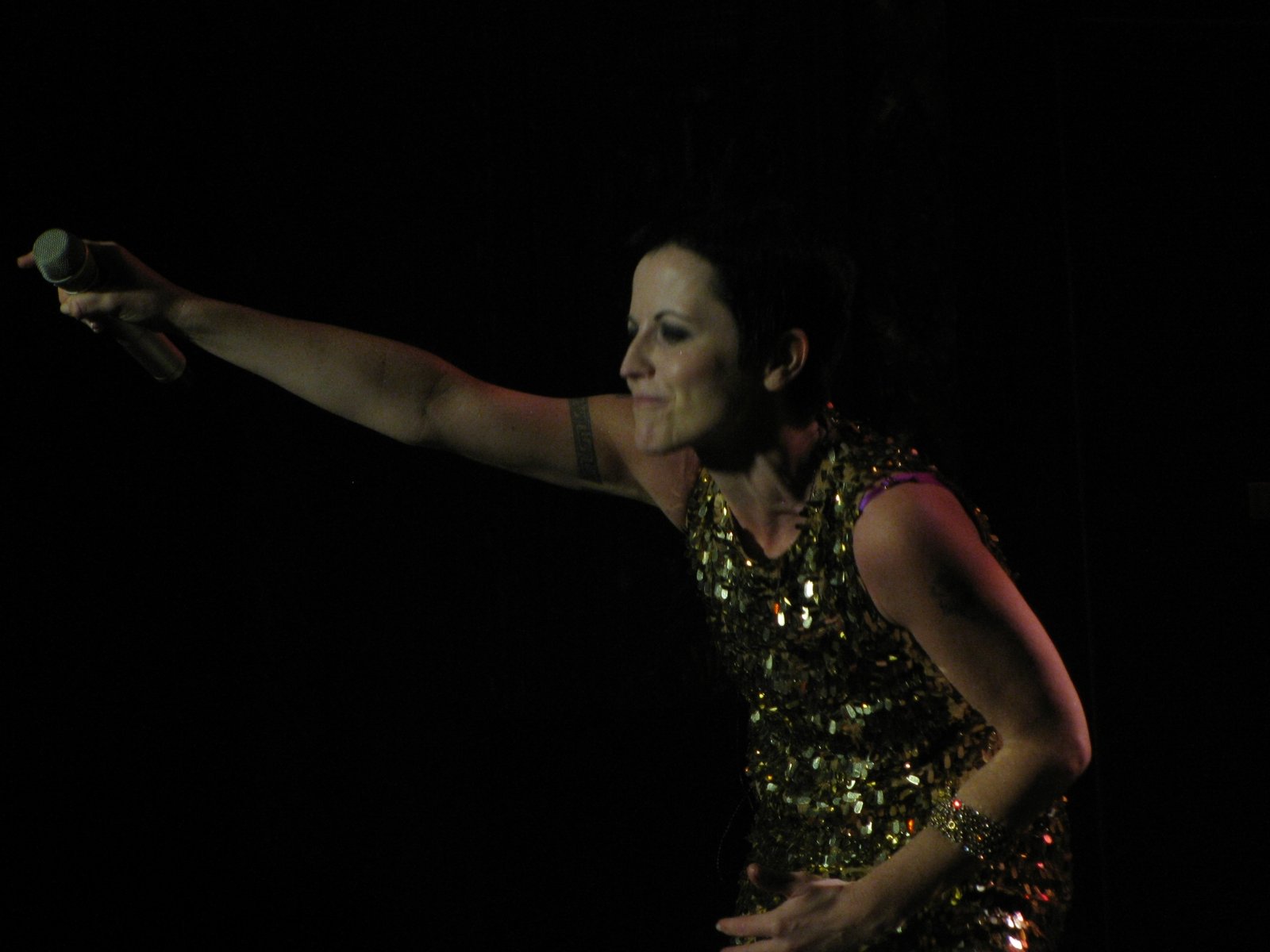 The Cranberries (2012): An Emotional Tribute