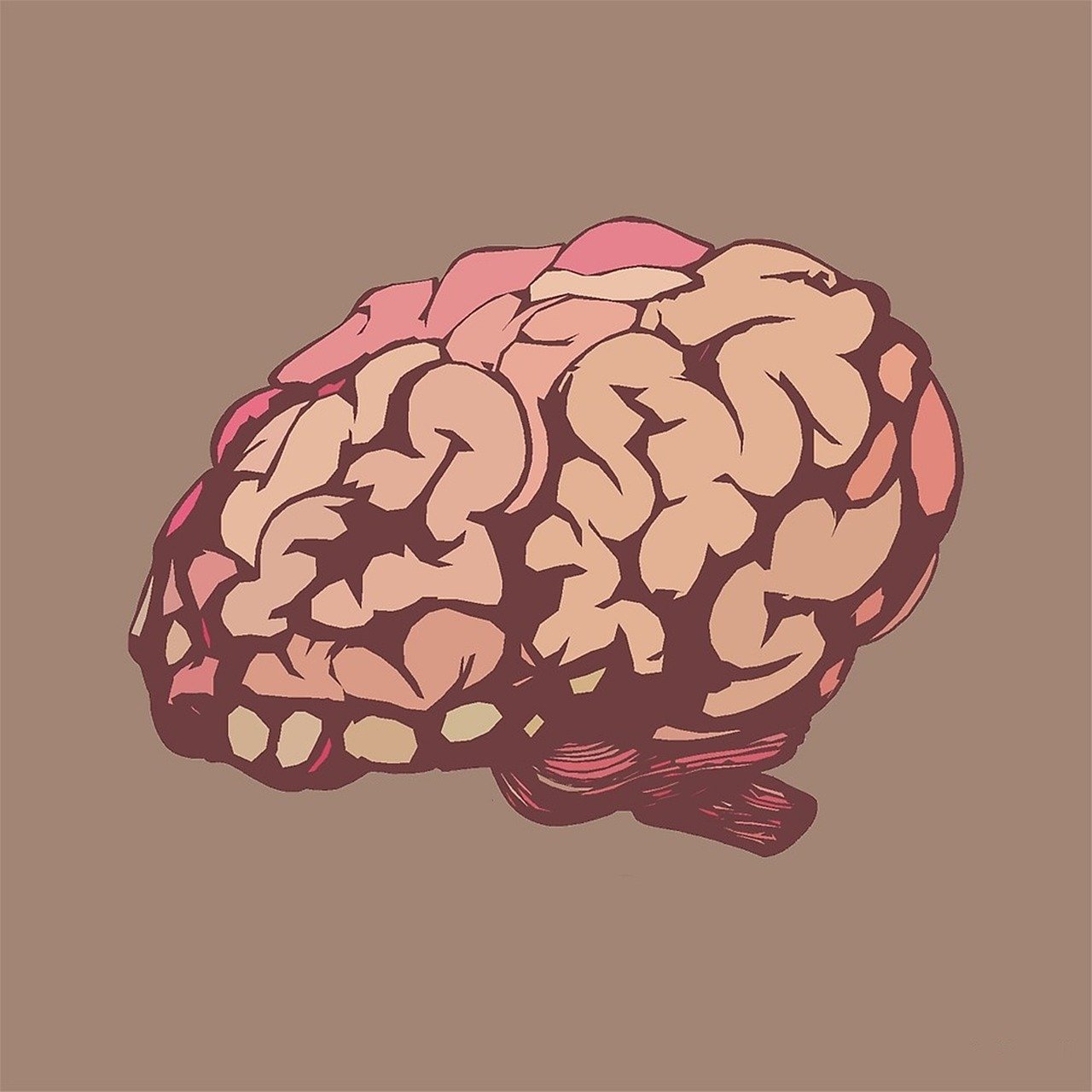 The Growing Popularity of Brain Games