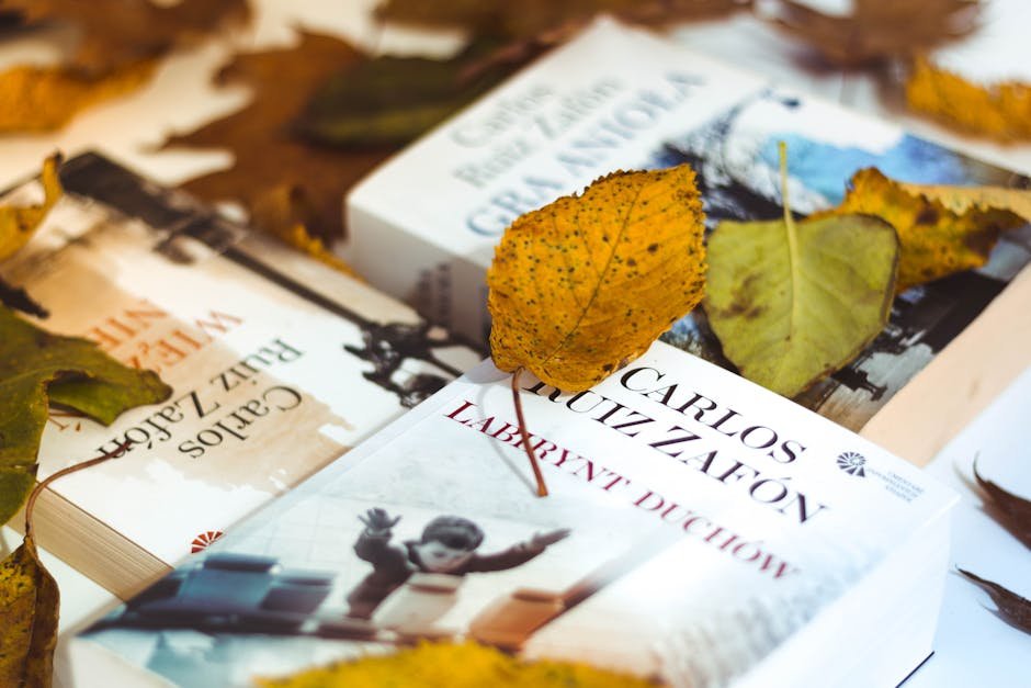 The Shadow of the Wind by Carlos Ruiz Zafón