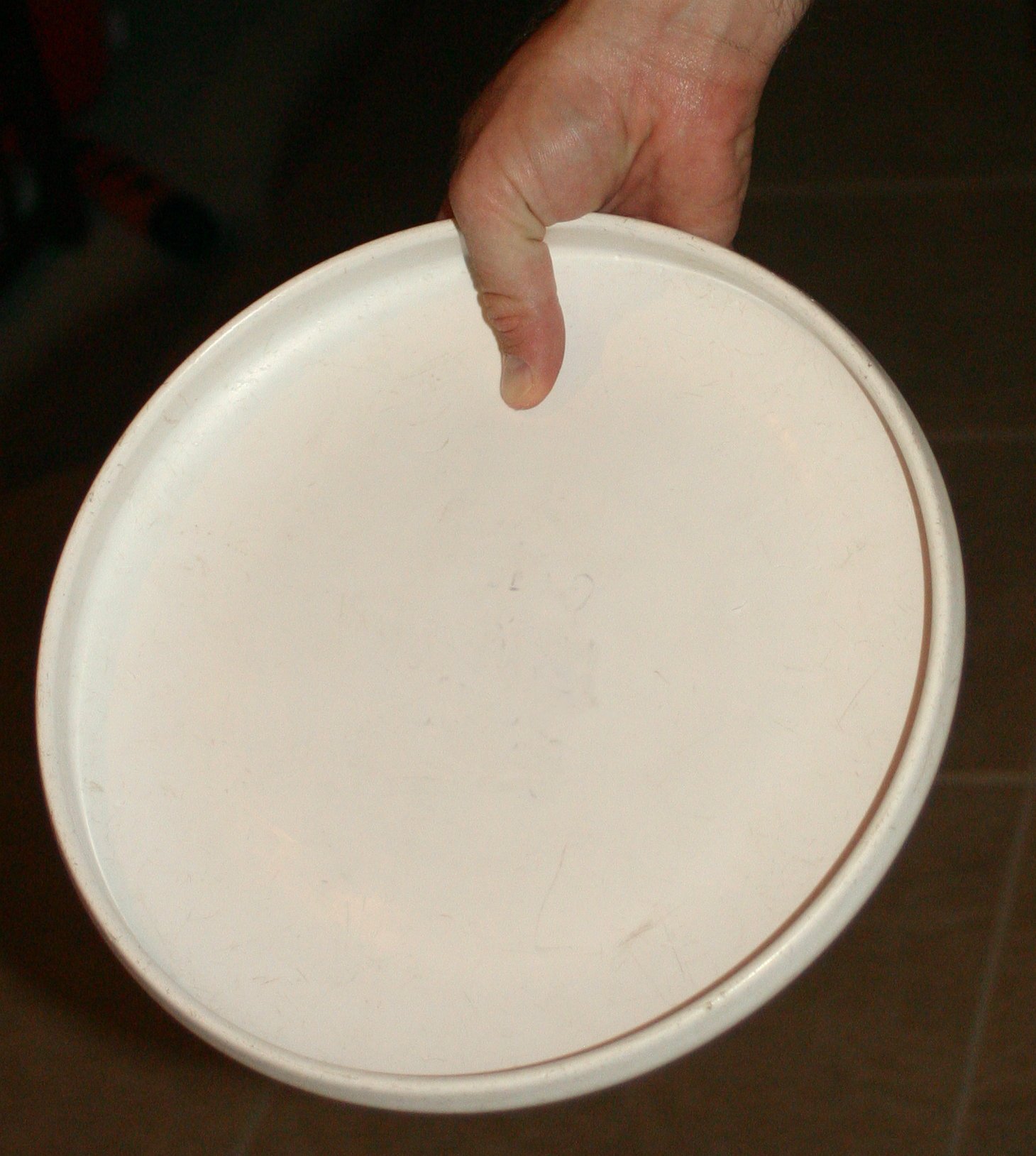 10. The Frisbee (image credits: wikimedia)