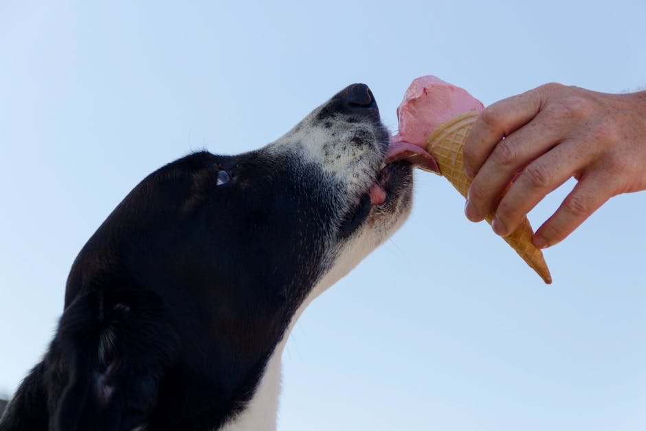 Dog Food Taster 🐶 (image credits: pexels)