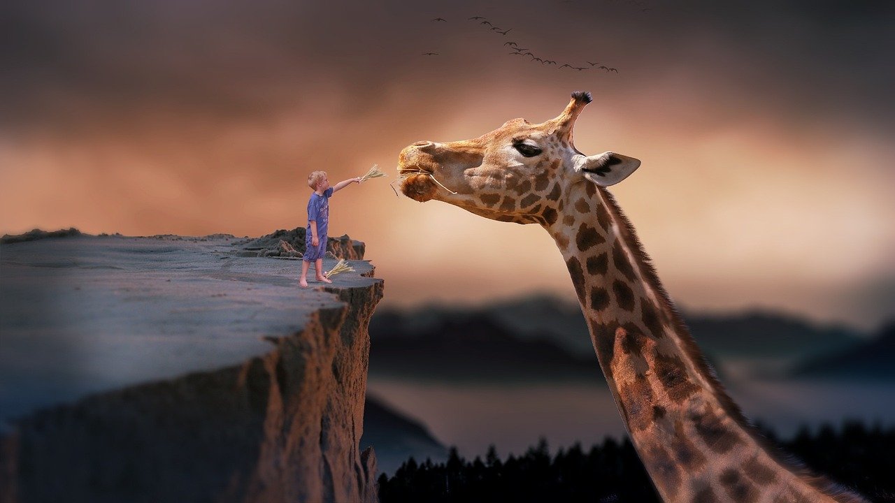 Lucid Dreaming (image credits: pixabay)