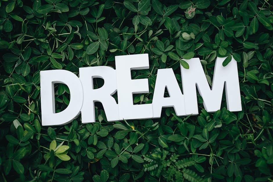 Dream Forgetting (image credits: pexels)