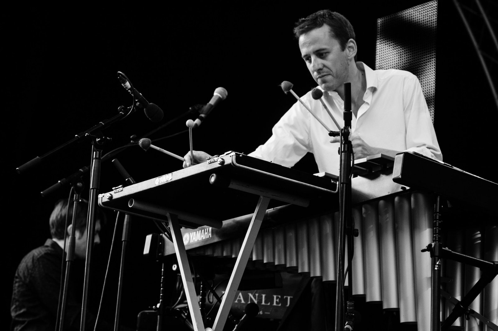 The Vibraphone: Ayers' Signature Sound (image credits: wikimedia)