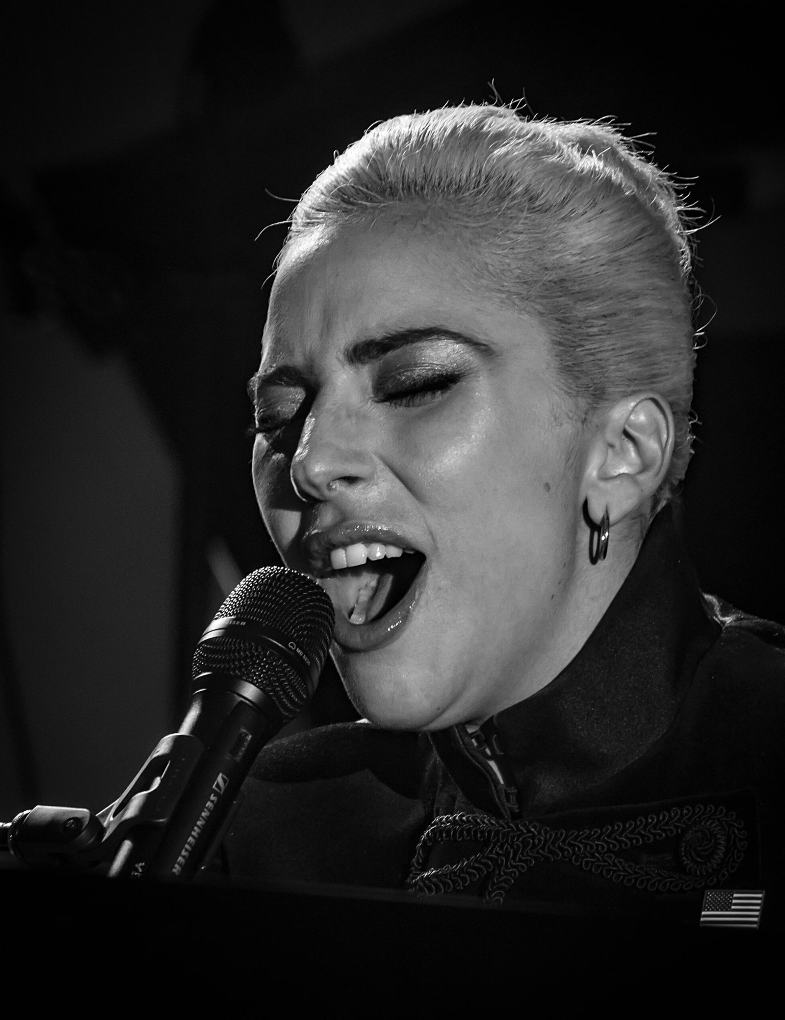 Lady Gaga Used to Work as a Lounge Singer Before Her Fame (image credits: wikimedia)