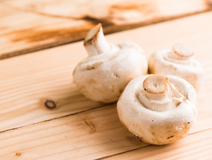 Mushrooms 🍄 (image credits: pexels)