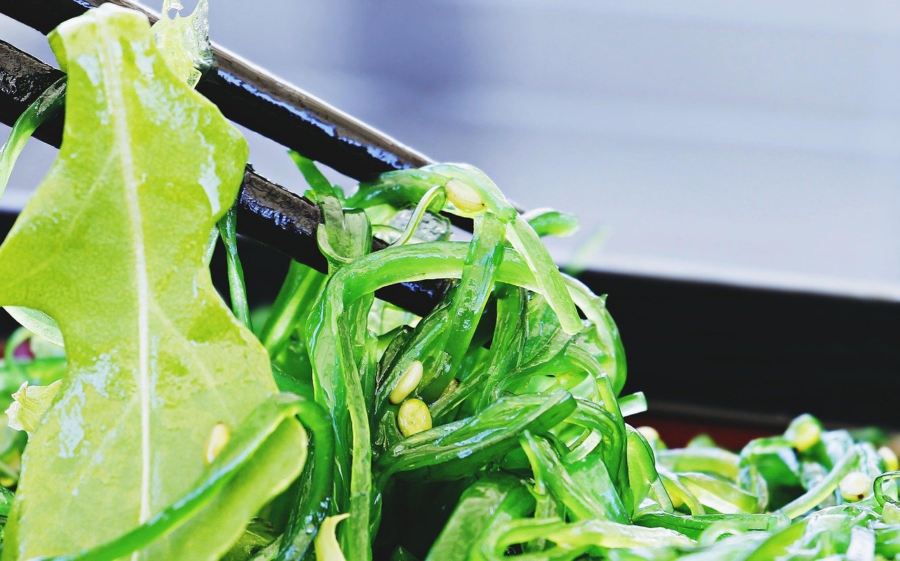 Algae & Lichen-Based Supplements 🌿 (image credits: pixabay)