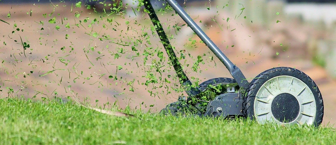 The Smell of Freshly Cut Grass Makes You Happier ๐ฟ๐ (image credits: pixabay)