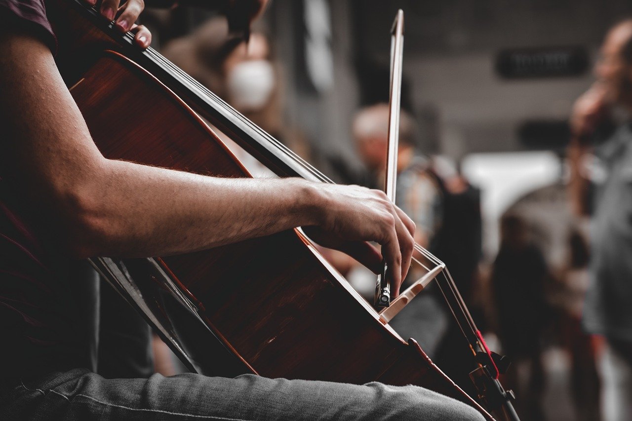 Playing an Instrument Improves Memory and IQ ๐ธ๐ง (image credits: pixabay)