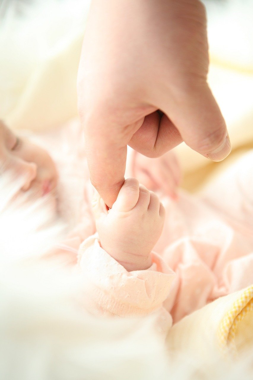 People Born in September Are More Likely to Be Successful ๐๐ฐ (image credits: pixabay)