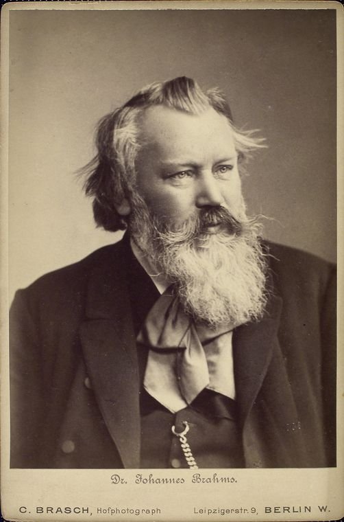 9. Johannes Brahms (image credits: wikimedia)