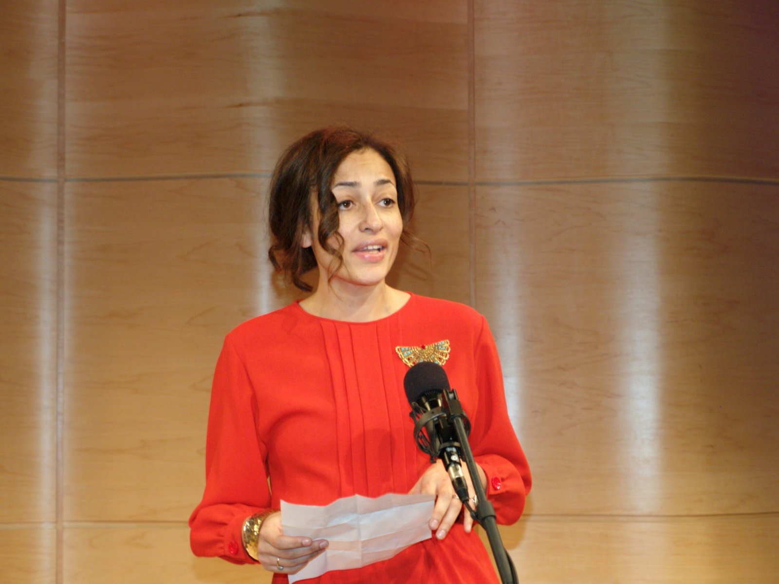 Zadie Smith (image credits: wikimedia)
