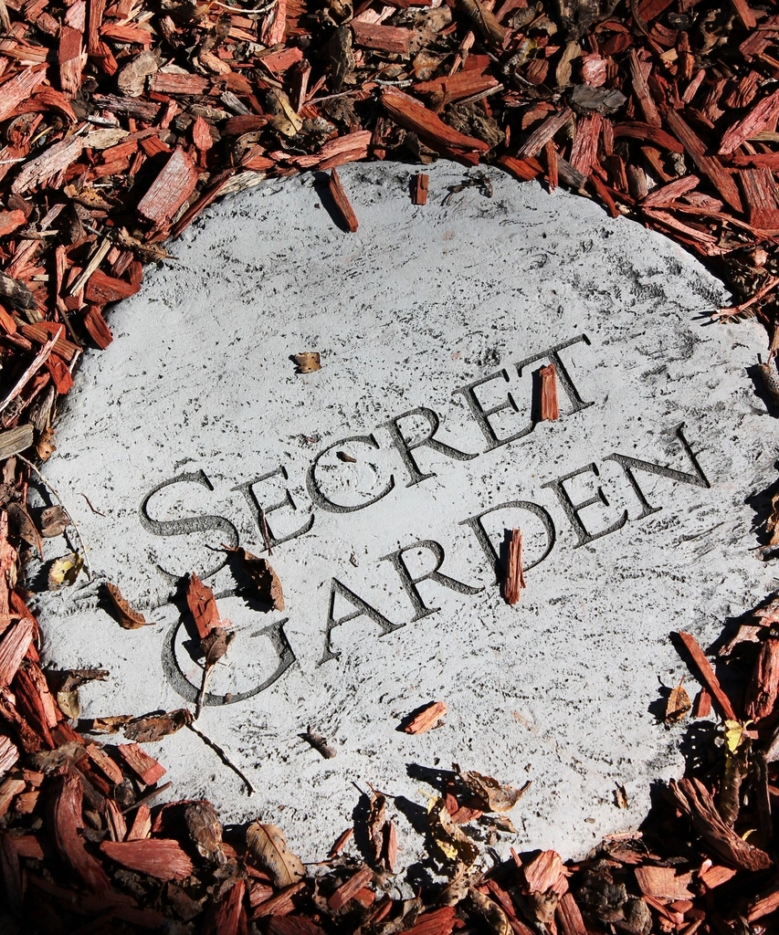 The Secret Garden by Frances Hodgson Burnett (image credits: rawpixel)