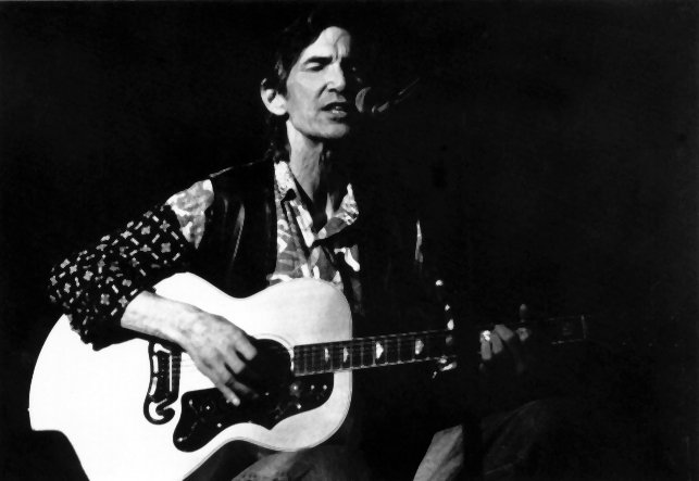 Townes Van Zandt (1944–1997) (image credits: wikimedia)