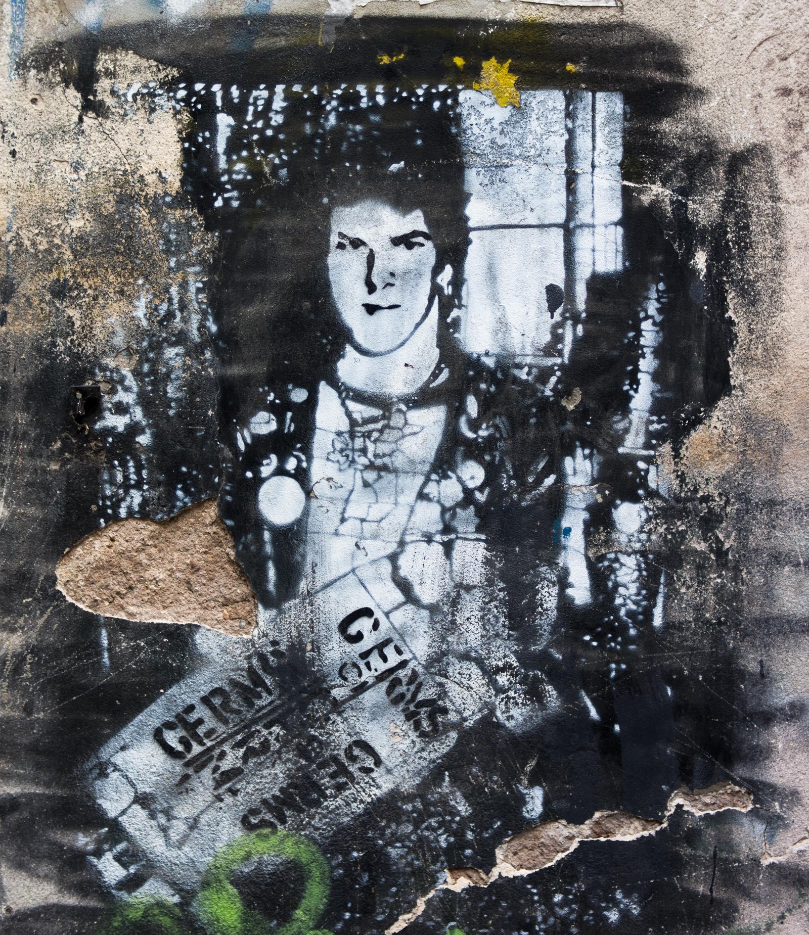 Darby Crash (1958–1980) (image credits: wikimedia)