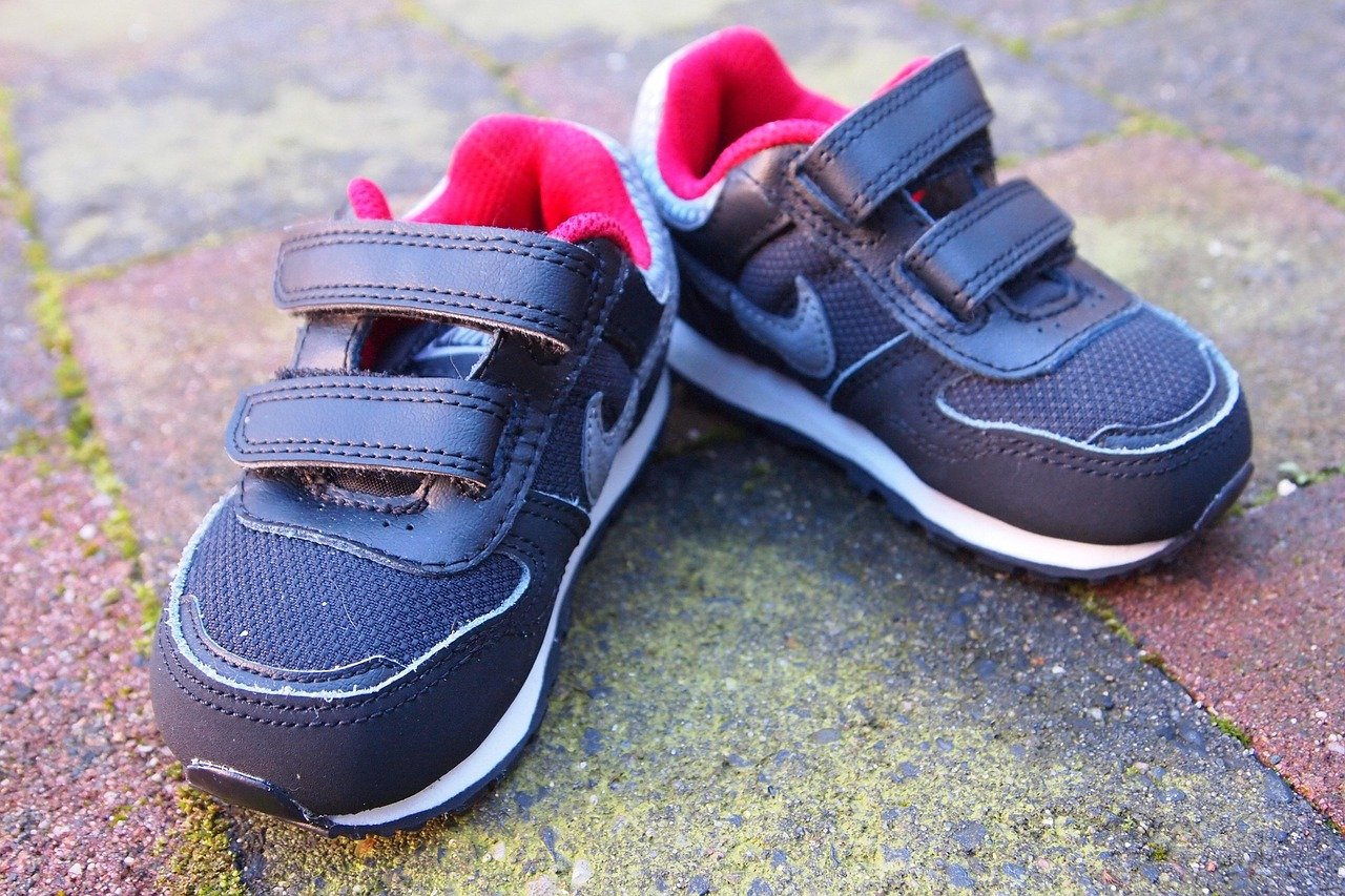 Velcro: The Fastening Phenomenon (image credits: pixabay)