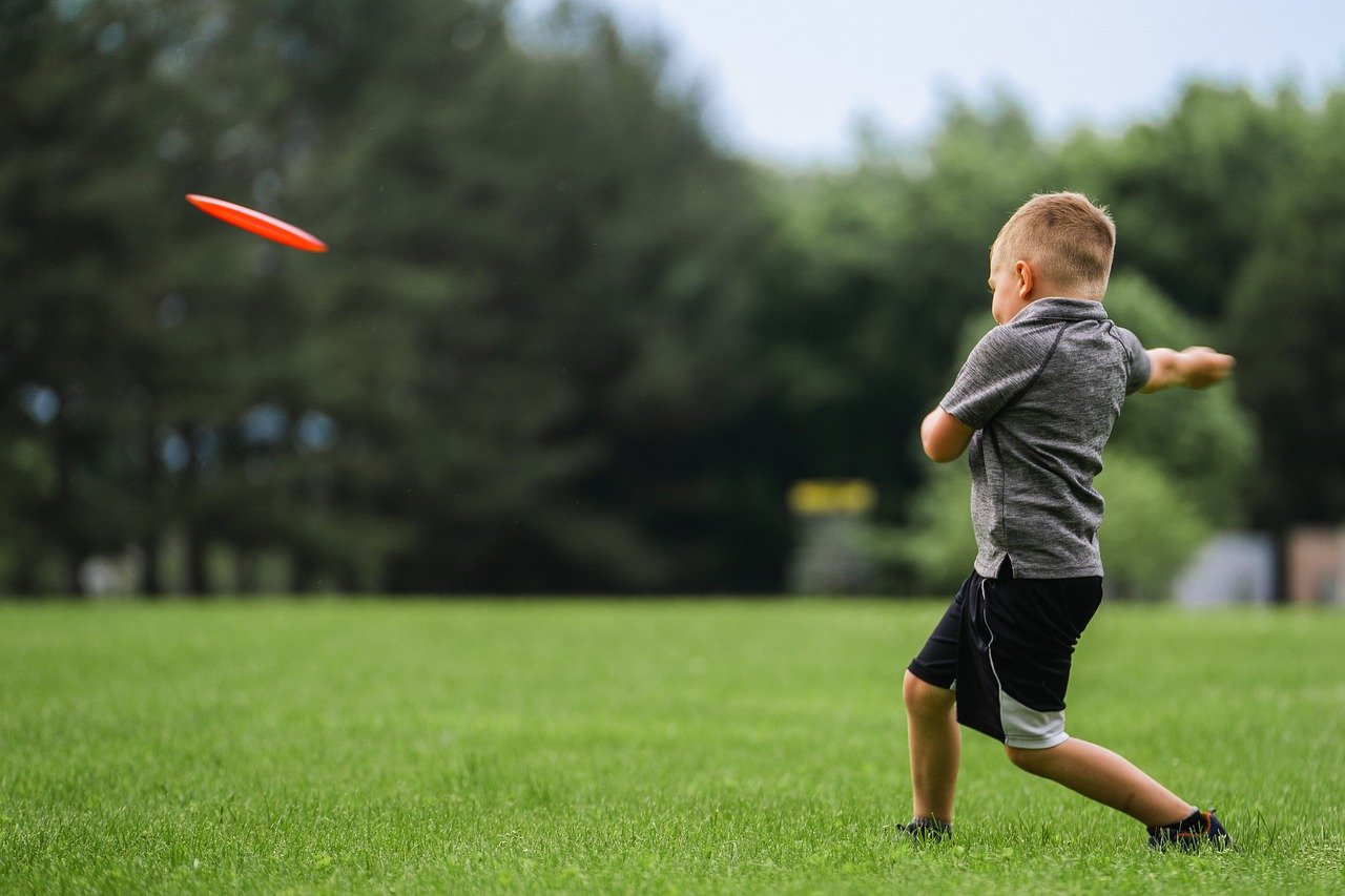 Frisbee: The Flying Disc Game (image credits: pixabay)