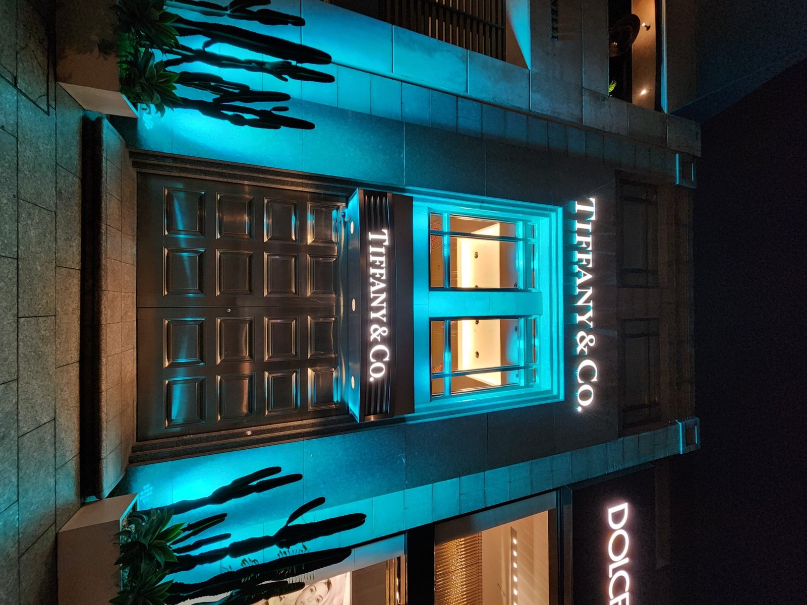 Tiffany & Co. – Jewelry for the Elite (image credits: wikimedia)
