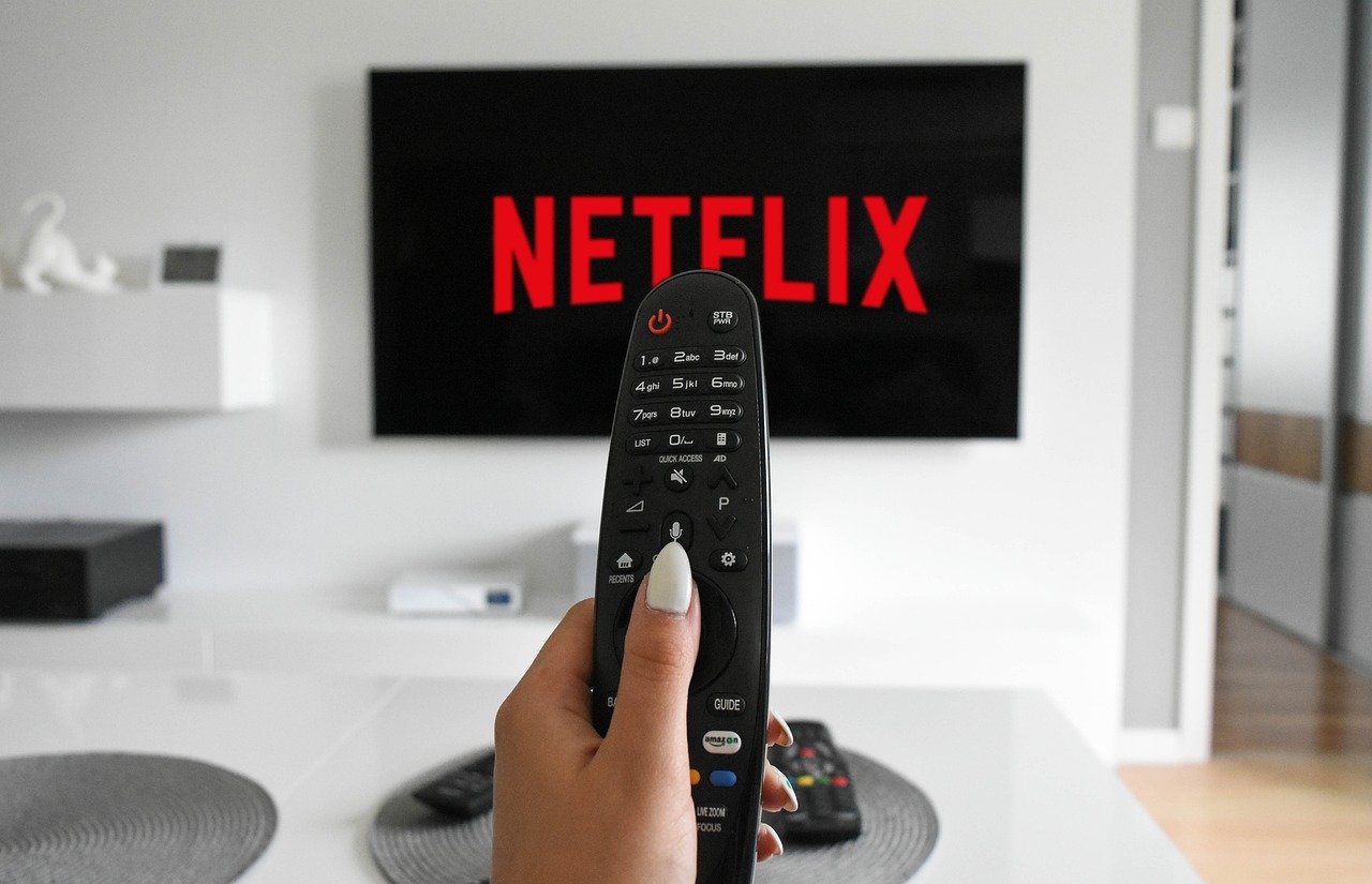 Netflix (1997–2000s) (image credits: pixabay)