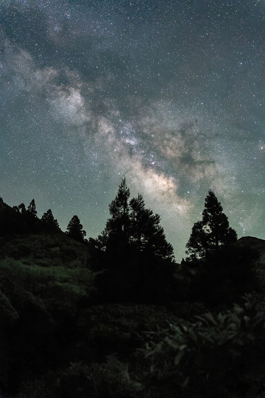 The Universe Could Be Conscious (image credits: pixabay)