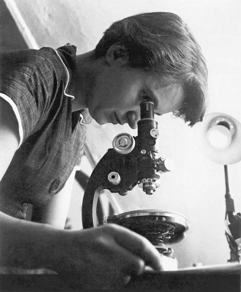 Rosalind Franklin: The Woman Behind the Discovery of DNA (image credits: wikimedia)