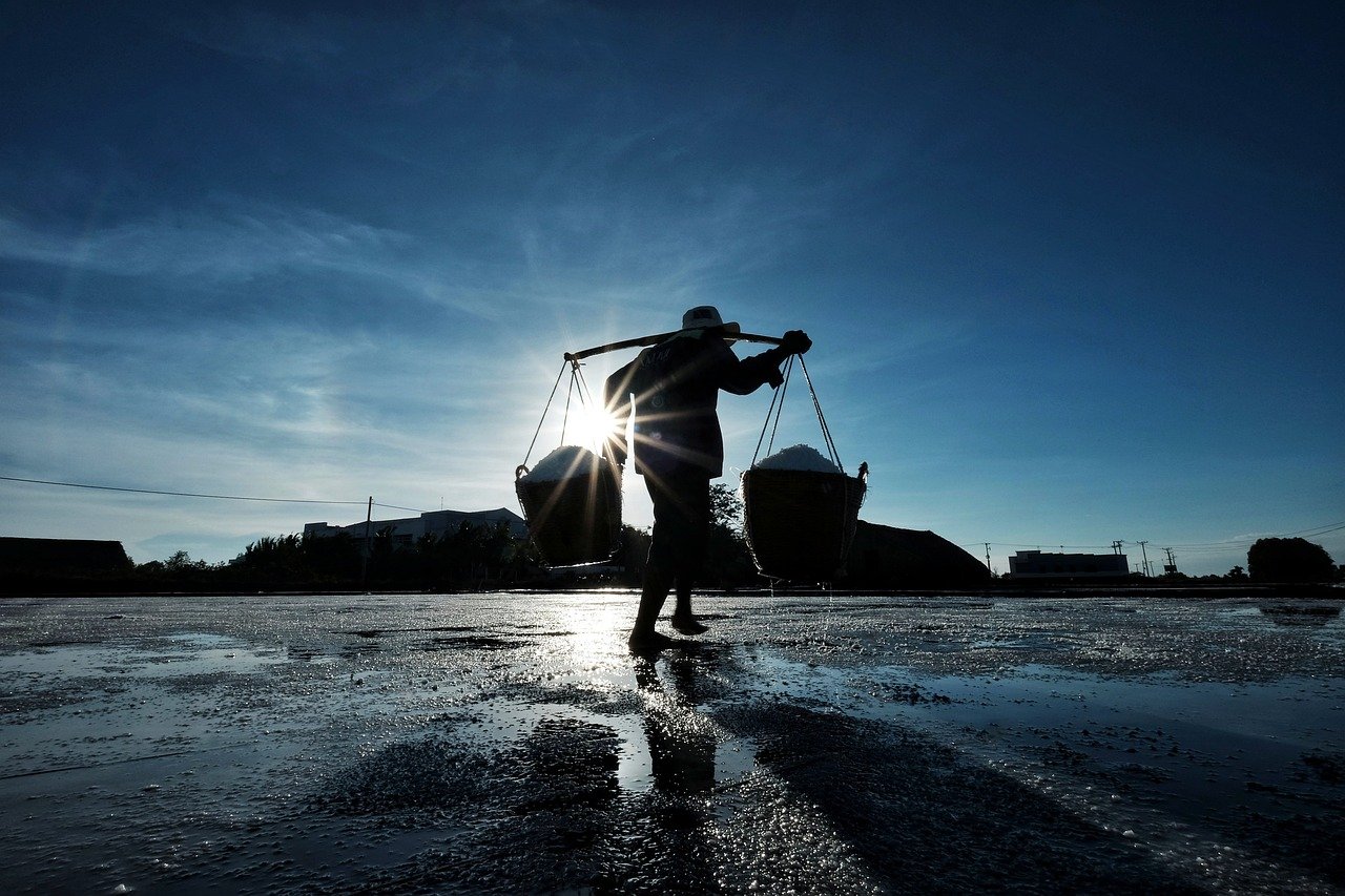 Agricultural Workers – Feeding the World (image credits: pixabay)