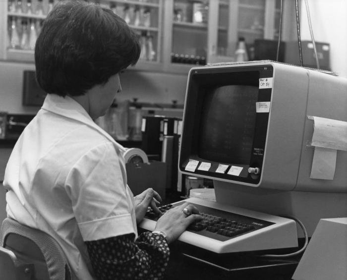 Information Technology (IT) Workers – Powering the Digital World (image credits: wikimedia)