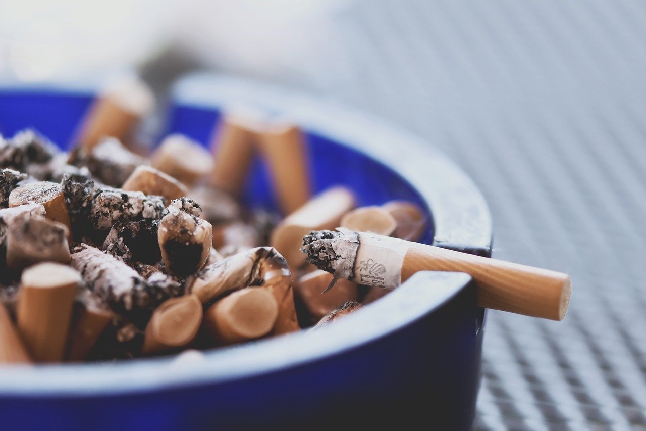 Lung Cancers: A Persistent Threat (image credits: pixabay)