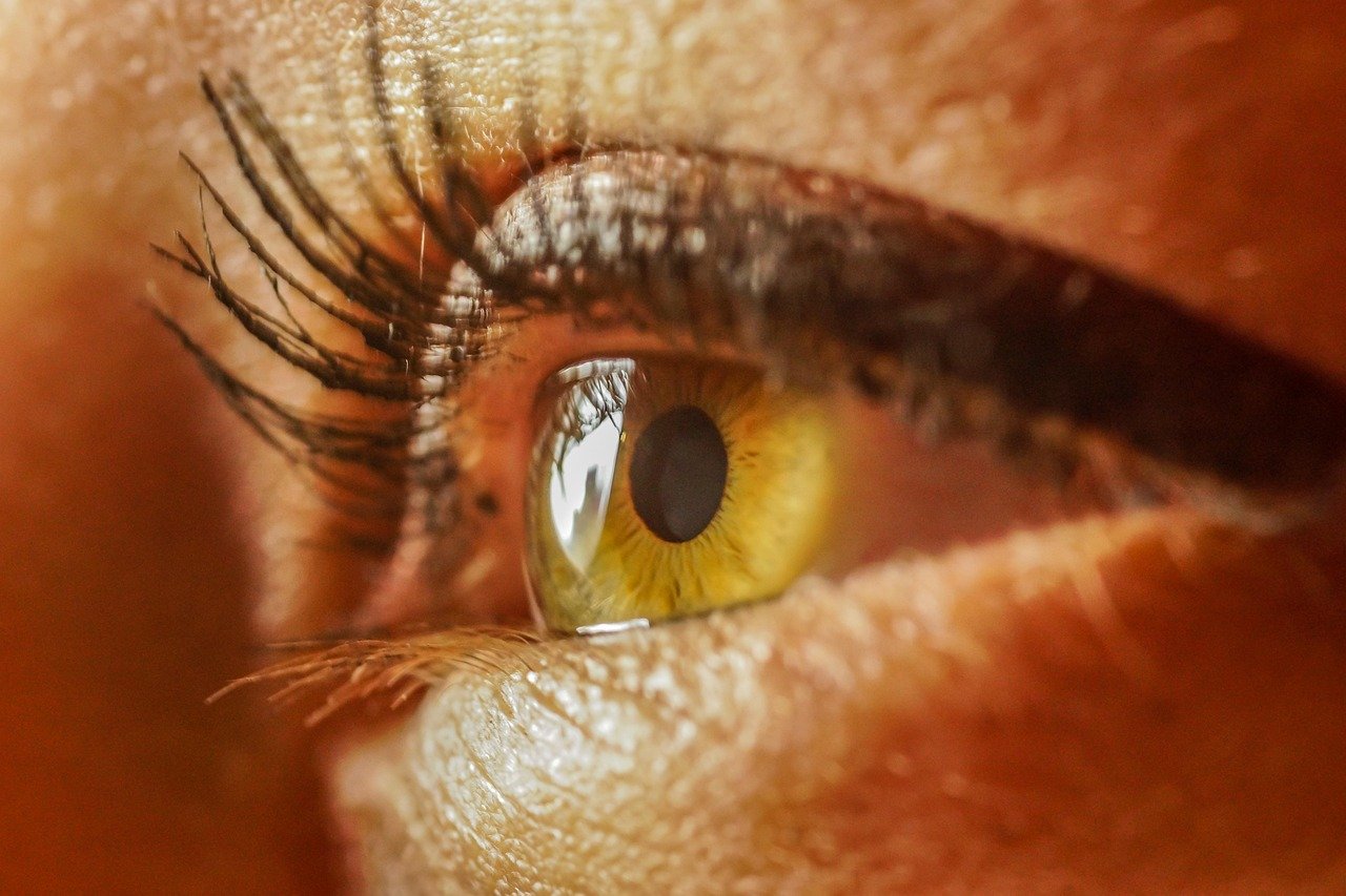 Better Peripheral Vision: A Key Factor (image credits: pixabay)
