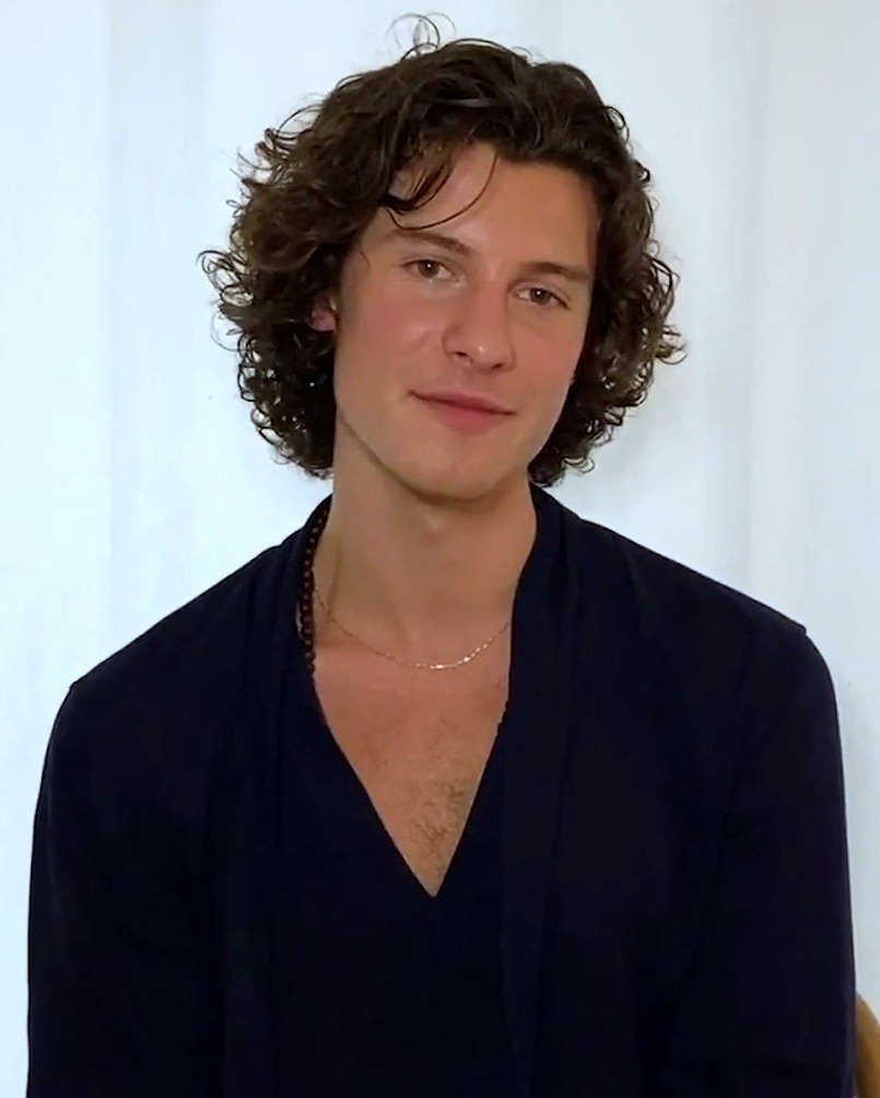 Shawn Mendes: Vine to Grammy-Nominated Singer (image credits: wikimedia)