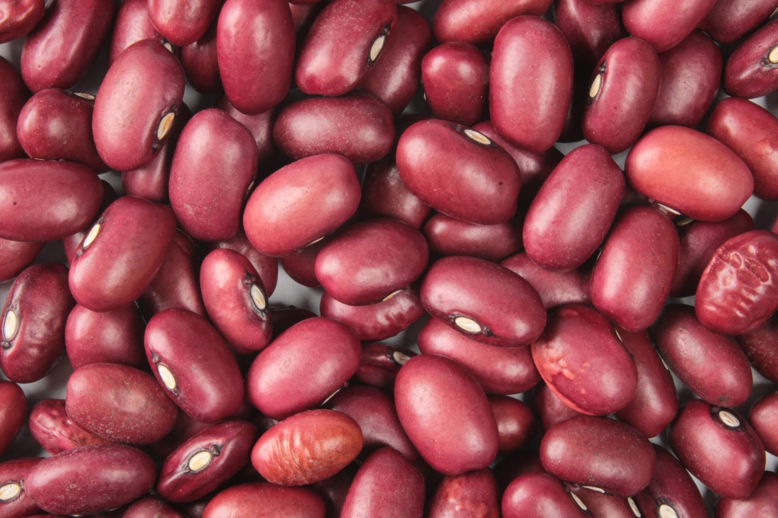 Beans & Legumes – The Secret to Staying Full (image credits: wikimedia)