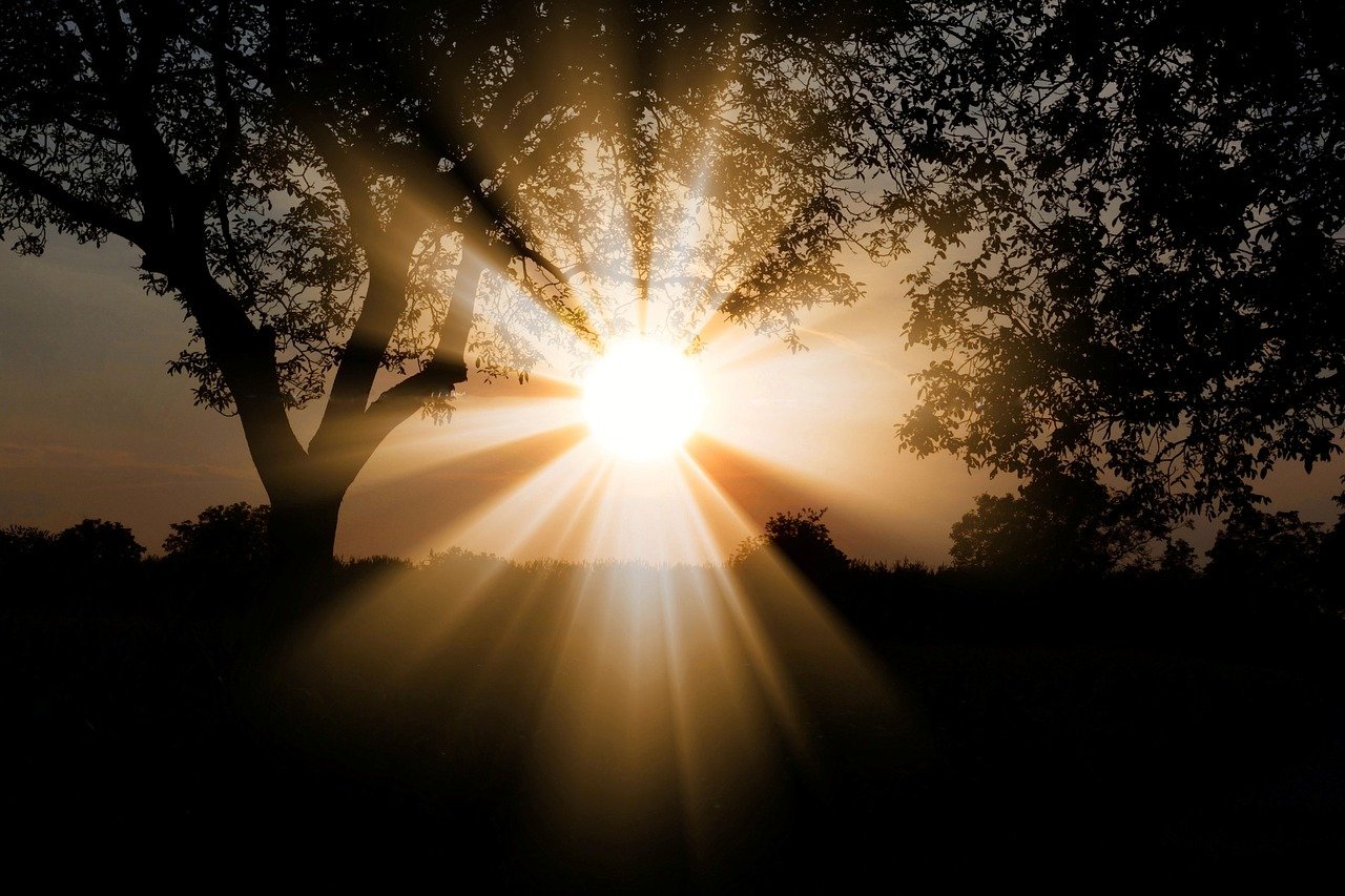 10 Habits to Increase Longevity and Enhance Well-being