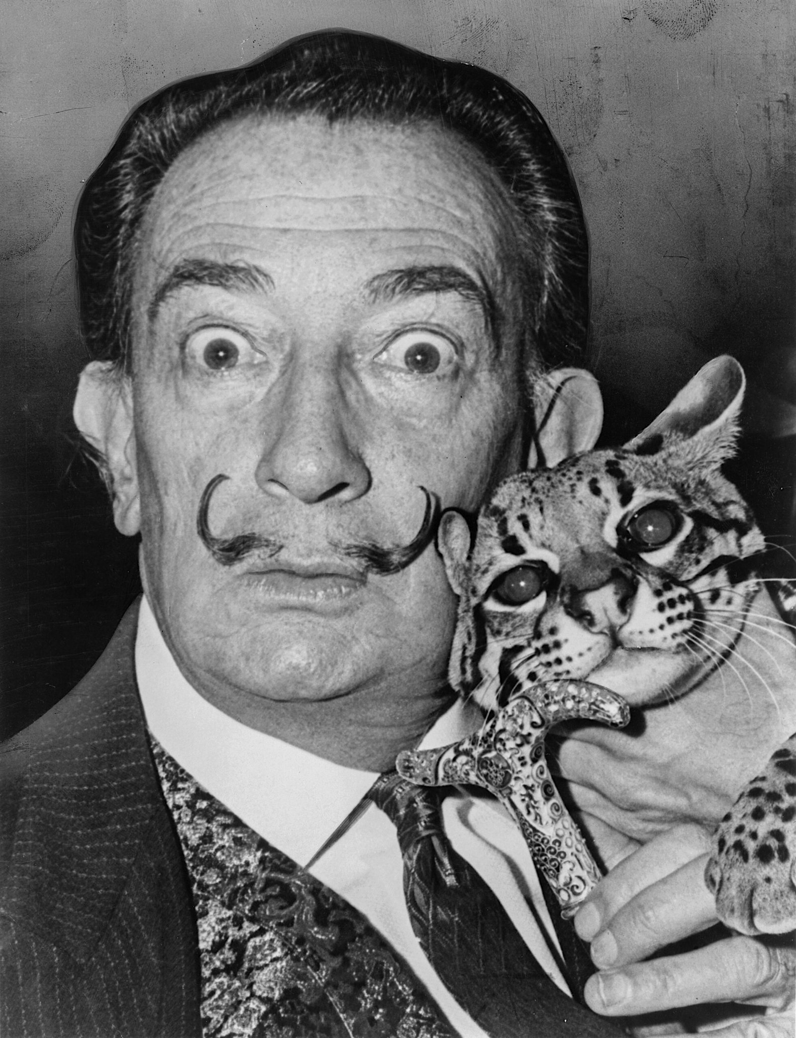 The Persistence of Memory (Salvador Dalí, 1931) (image credits: wikimedia)
