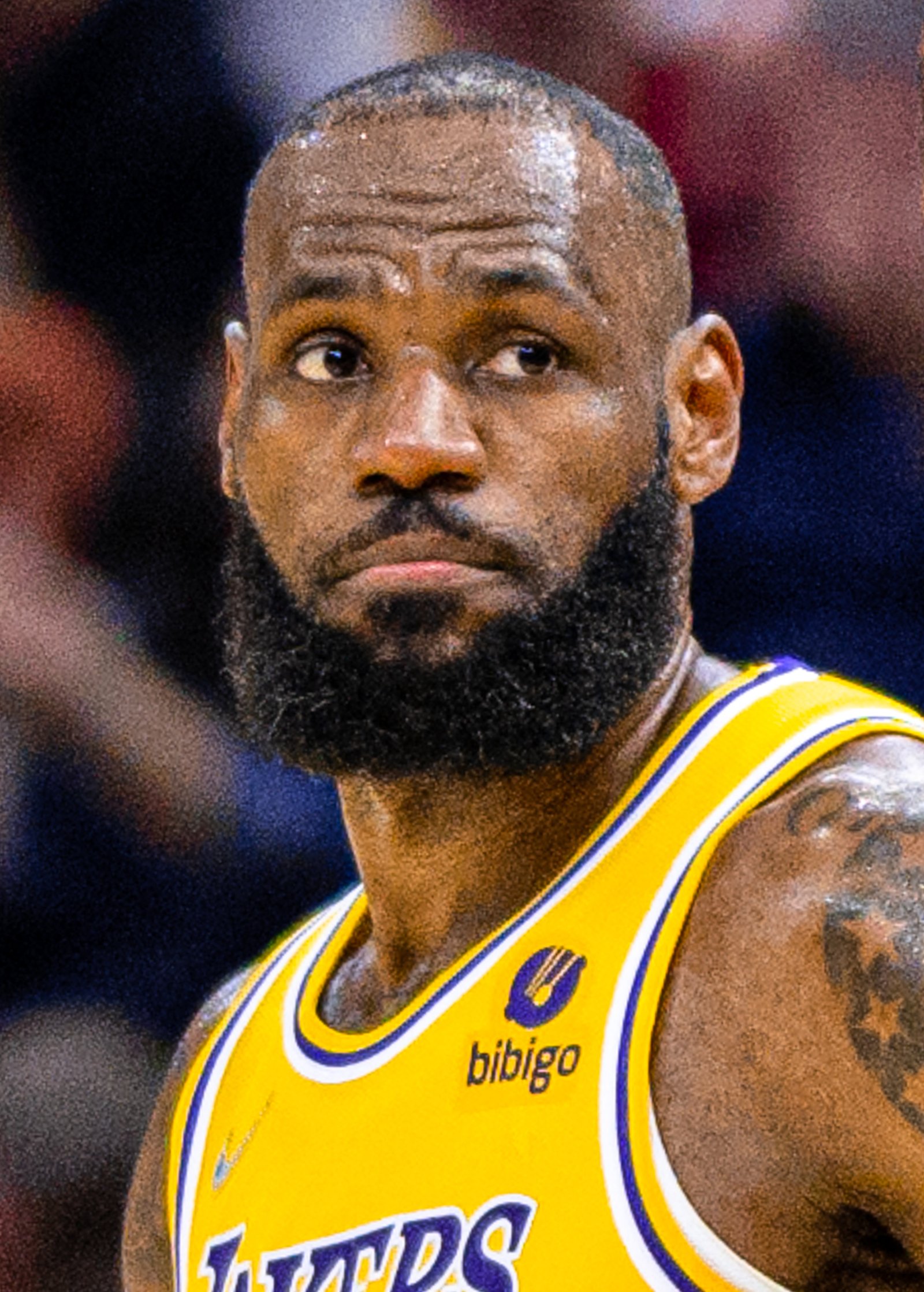 LeBron James: The King of Basketball (image credits: wikimedia)