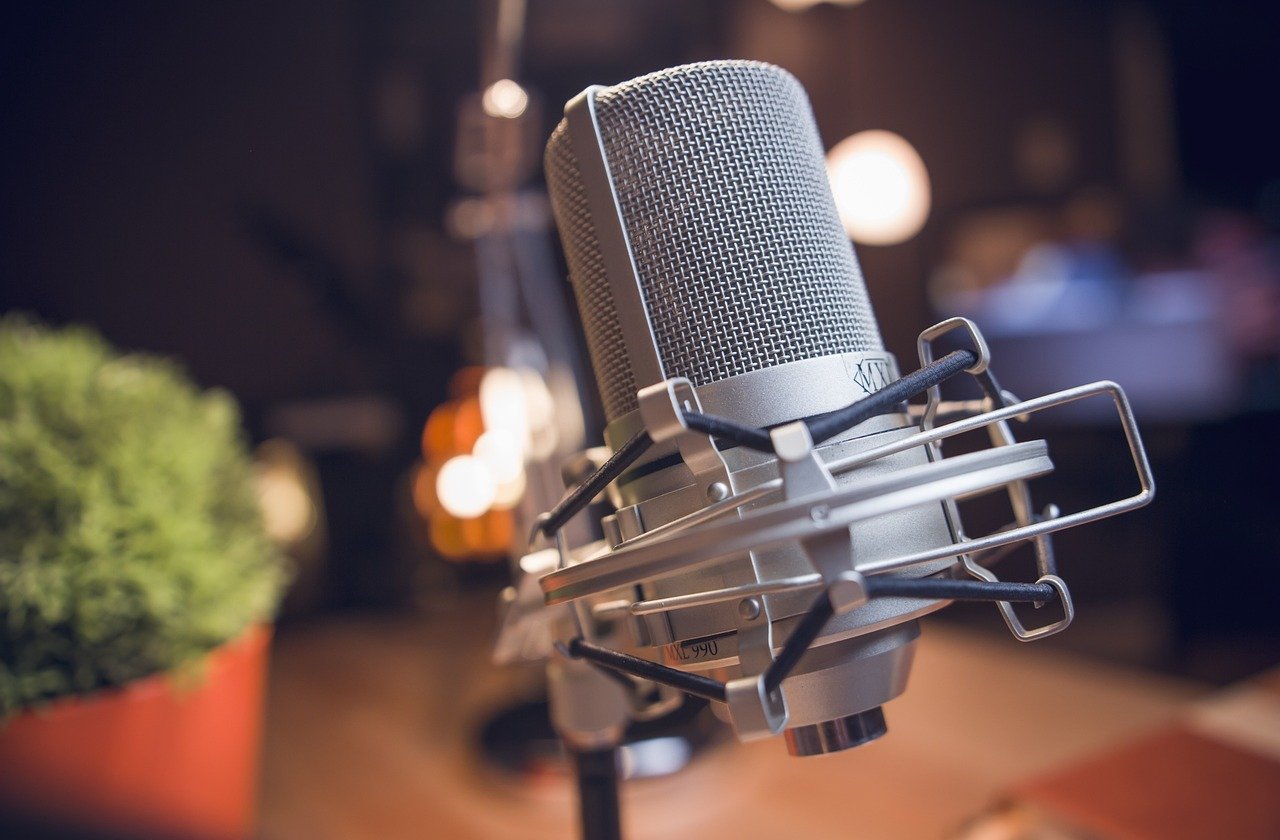 AI-Generated Vocals (image credits: pixabay)