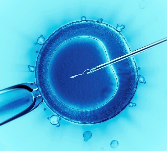 The First Test-Tube Baby is Born (1978) (image credits: wikimedia)