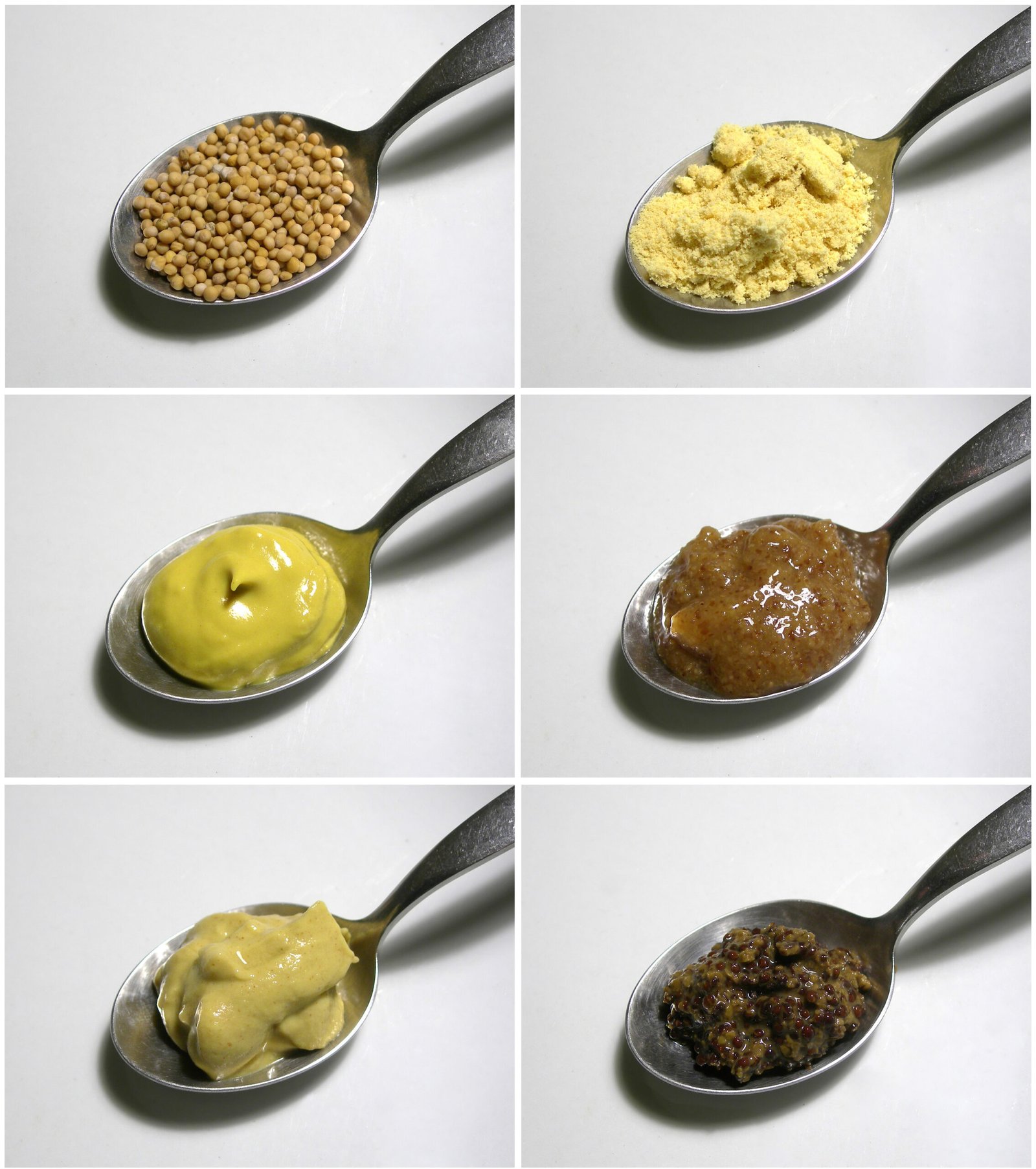 Mustard – The Zesty Classic (image credits: wikimedia)