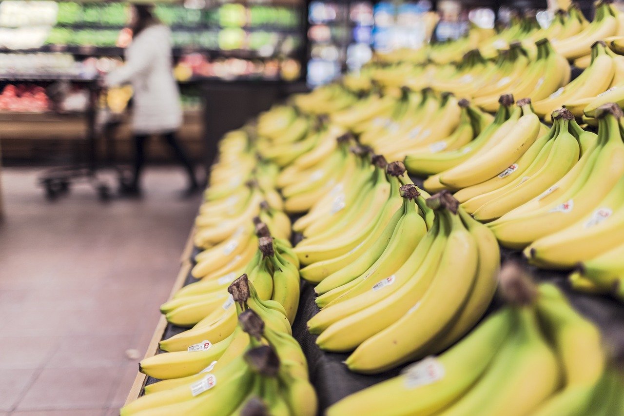 16. Supermarket Obstacle Races (image credits: pixabay)