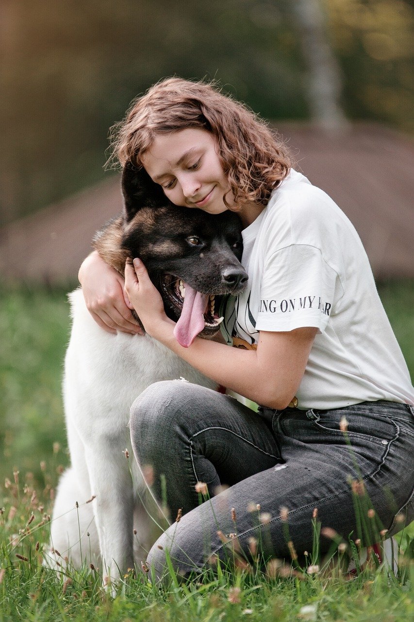 20. Pet Translator Challenge (image credits: pixabay)