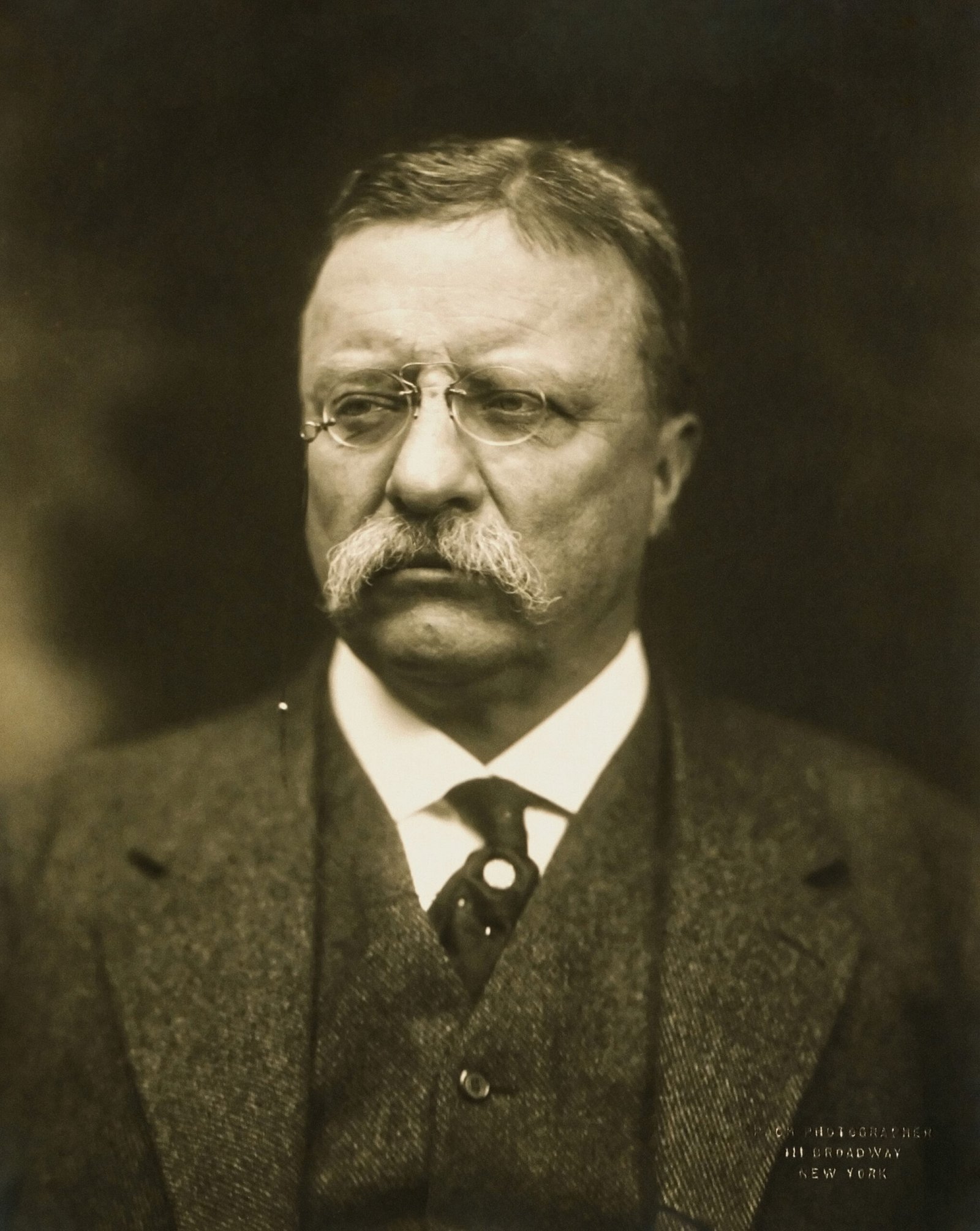 Theodore Roosevelt (1858–1919) – The Progressive Reformer (image credits: wikimedia)