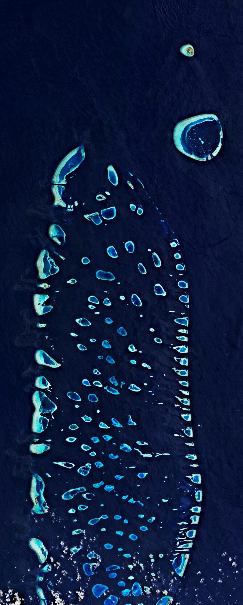 The Maldives (image credits: wikimedia)