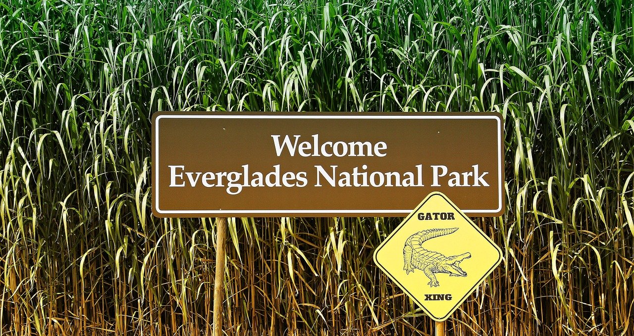 The Florida Everglades, USA (image credits: pixabay)