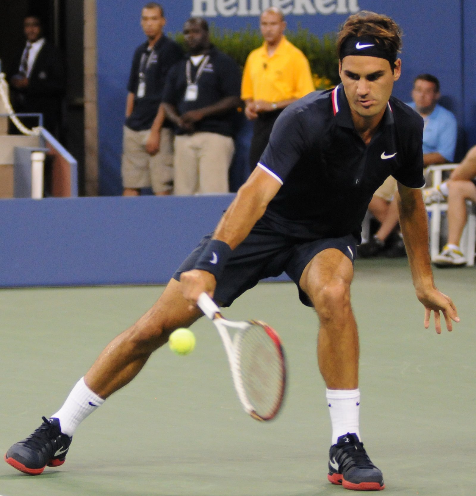 Roger Federer (Tennis) (image credits: wikimedia)