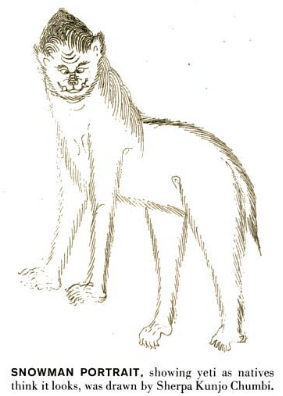 The Yeti (Himalayan Folklore) (image credits: wikimedia)
