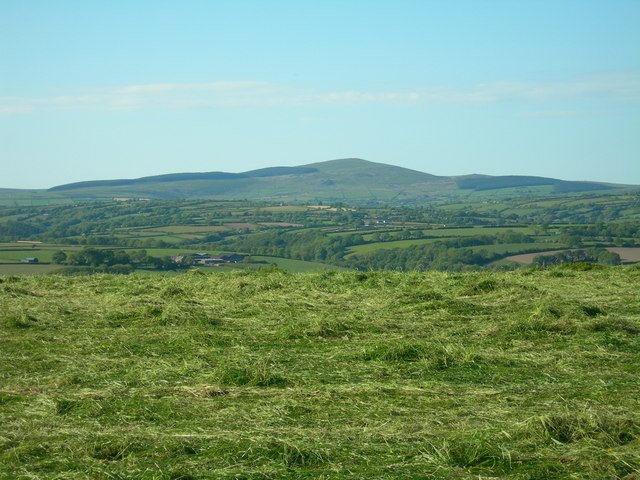Freshly Cut Grass (image credits: wikimedia)