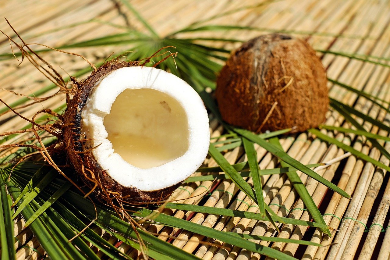 Coconut (image credits: pixabay)
