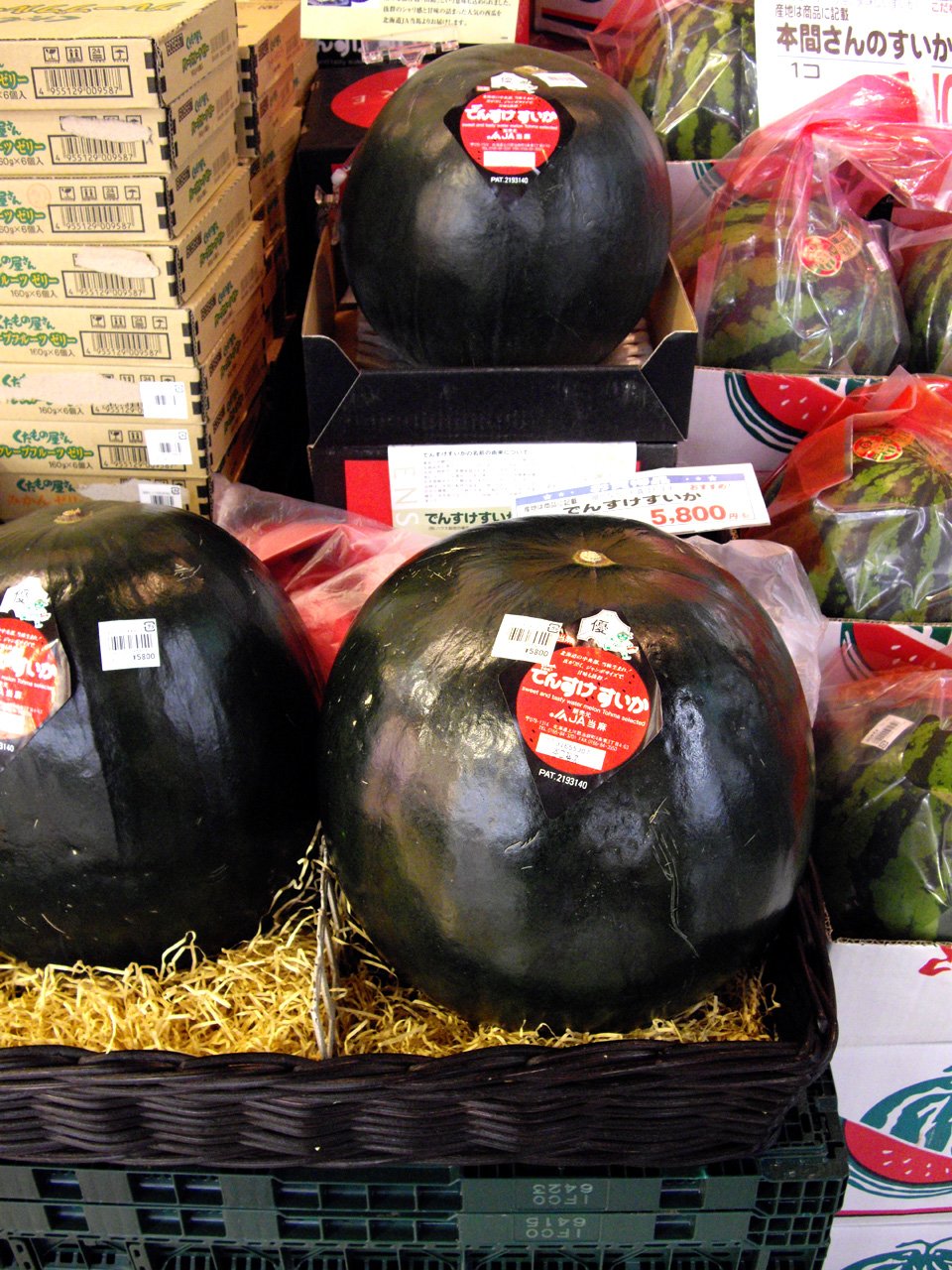 2. Densuke Watermelon – Up to $250/kg (image credits: wikimedia)